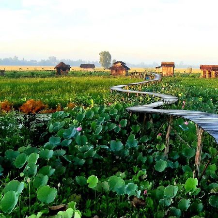 Viet Mekong Farmstay Tràm Chim エクステリア 写真